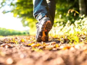 walk and talk therapy in moray